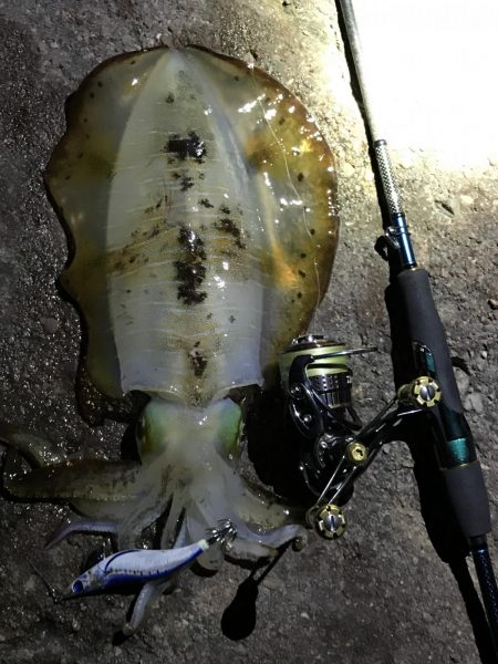 エギング最高！