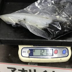 年内最後のエギングで・・・