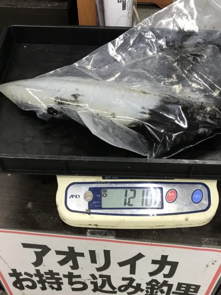 年内最後のエギングで・・・