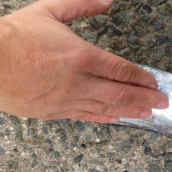 青物不発のタチワン