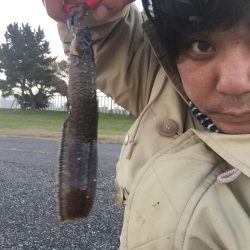 久しぶりの城南島