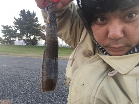 久しぶりの城南島