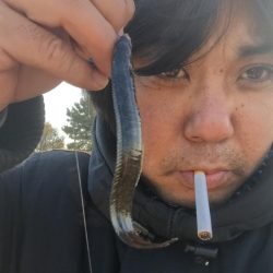 城南島行ってきました。