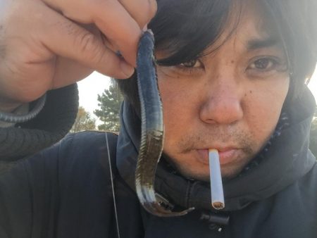 城南島行ってきました。