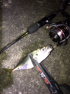 長いワームで小アジング