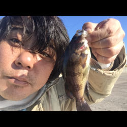 海タナゴ。、爆釣☆