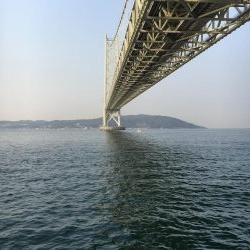 青物のはずが。