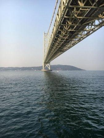 青物のはずが。