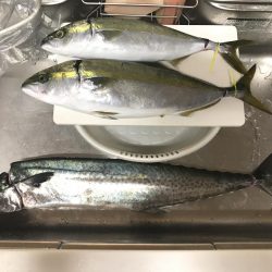 オフショアリベンジ