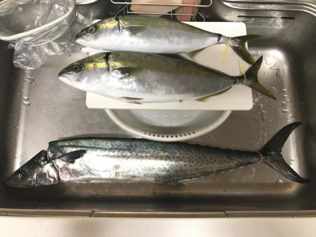 オフショアリベンジ