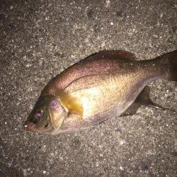 まだまだこれから