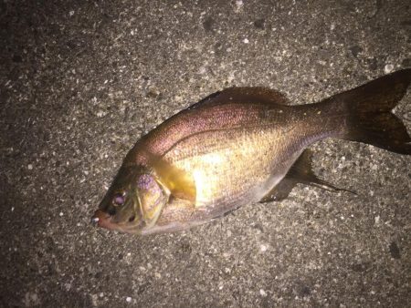 まだまだこれから