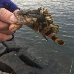 冬ロックフェスのつもりだったのに