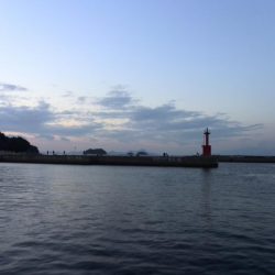 ヒイカエギング2