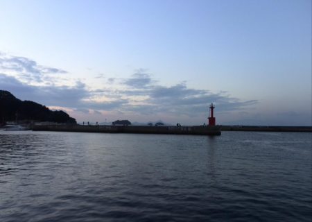 ヒイカエギング2