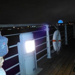 コスモスクエアにて