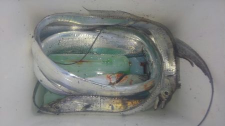 ワインド雪辱戦