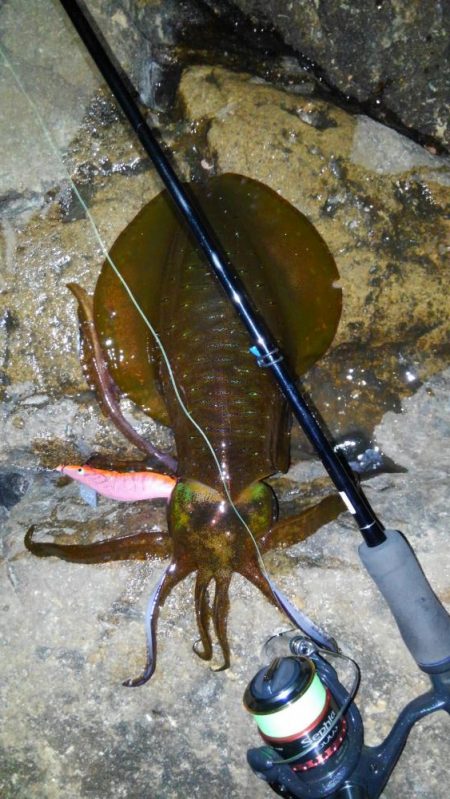 スーパームーンエギング！