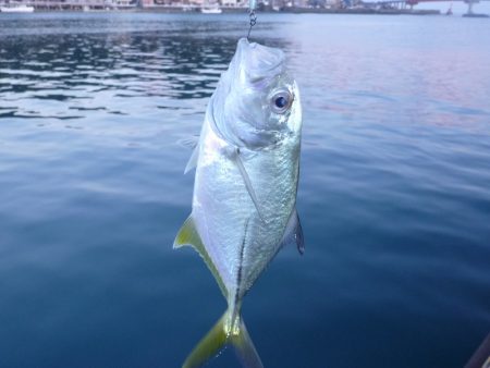 夕暮れ前に渓流ミノーの早引きで