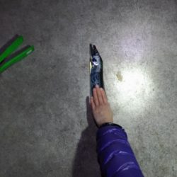 嫁の初太刀魚に完敗・・・