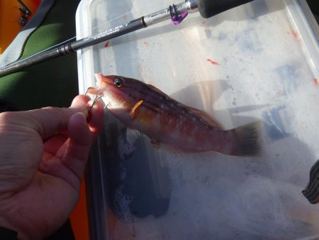 ひさびさカヤックフィッシング