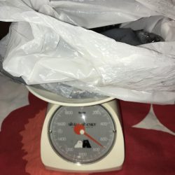 石津浜 アオリイカの釣果 吉田港ではいぜんアジやカマスが釣れます