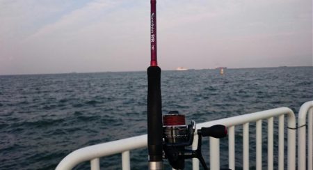 大きいタチウオ１匹