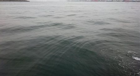 ⚫渋い中タチウオ３匹