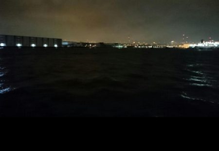 ◯タチウオ調査