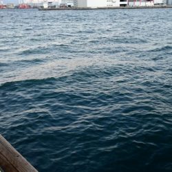 ◯極寒タチウオ釣り