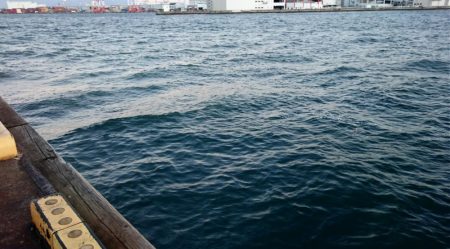 ◯極寒タチウオ釣り