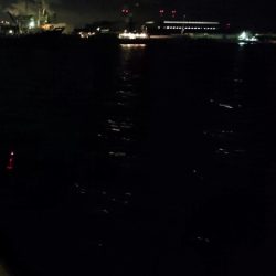 ◯湾奥タチウオも終了か！？