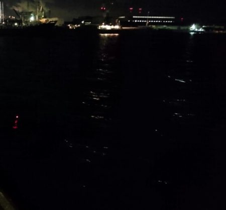 ◯湾奥タチウオも終了か！？