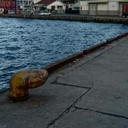 今ｼｰｽﾞﾝ最後の１匹か！？