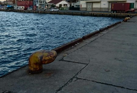 今ｼｰｽﾞﾝ最後の１匹か！？