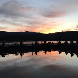 今シーズン初のワカサギ釣行