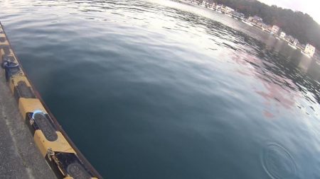 メッキ狙いでうれしい外道