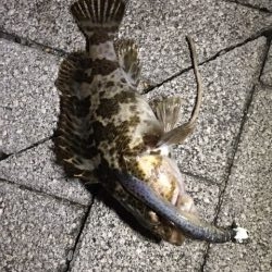 大阪湾奥　渋いがまだまだ