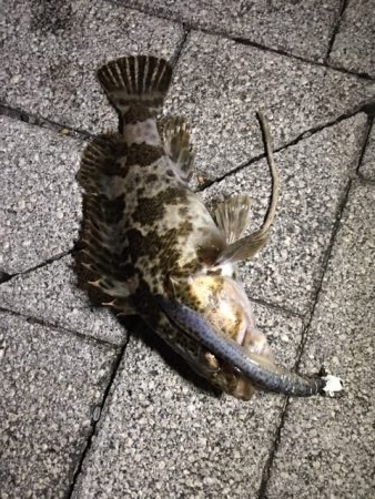 大阪湾奥　渋いがまだまだ