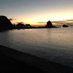 北西爆風のなかでエギング