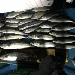 阿波哲ジギング