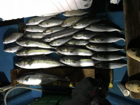 阿波哲ジギング