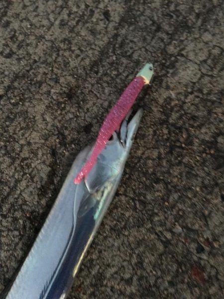 これがフラップ釣法の独壇場！！