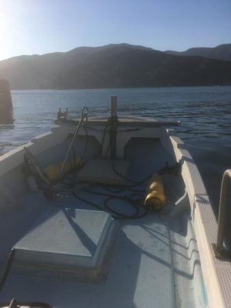 椿泊でかけ釣り