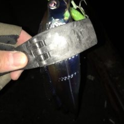 湾奥タチウオ。丁寧に探ればチャンス有り！