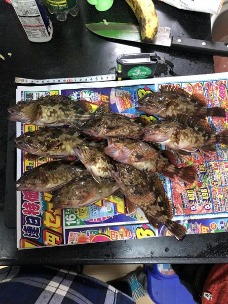 コスモスクエアにて