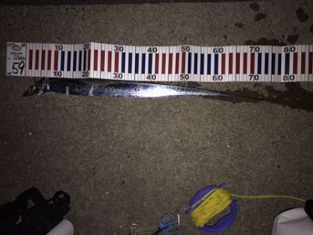 釣れてないところは釣れてない