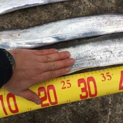 西宮ケーソンでドラゴン…に一歩及ばず(^^;