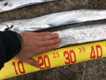 西宮ケーソンでドラゴン…に一歩及ばず(^^;