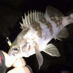 なんとかつ抜け